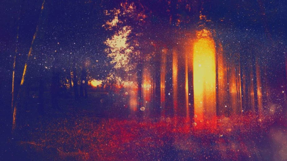 Decorative image of a glowing forest with bokeh. Eclectic witchcraft.
