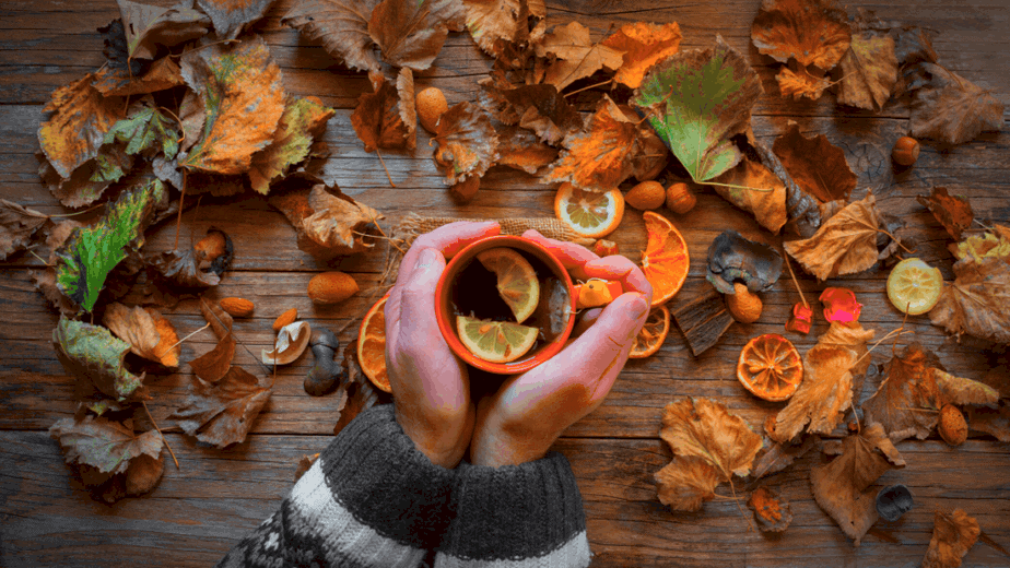 Decorative image of someone holding tea with fall decor like leaves surrounding them
