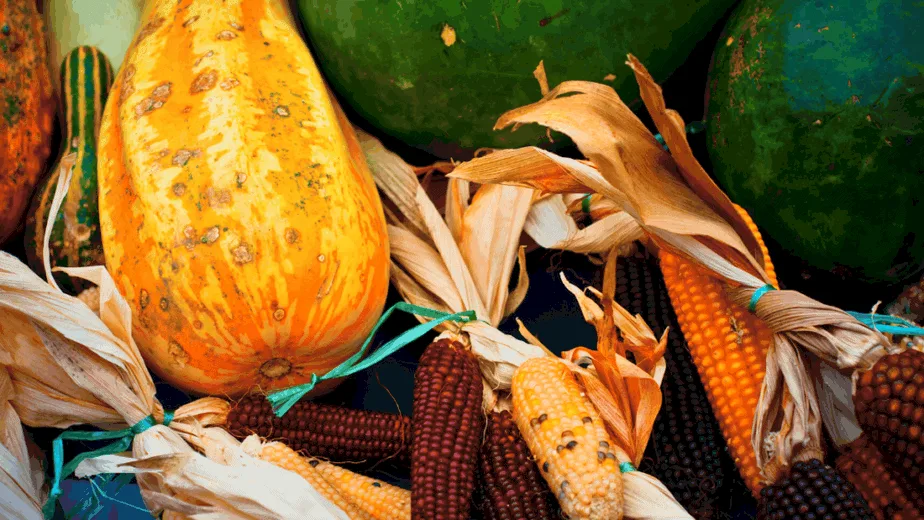 Decorative image of foods a kitchen witch might use during Mabon, like corn and gourds.