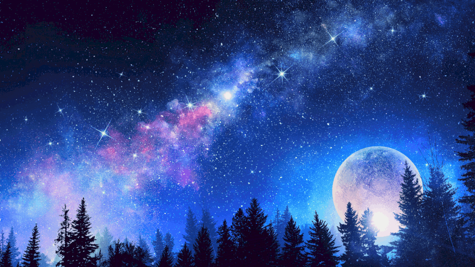 Decorative image of the moon behind fir trees in a beautiful sky with the milky way visible