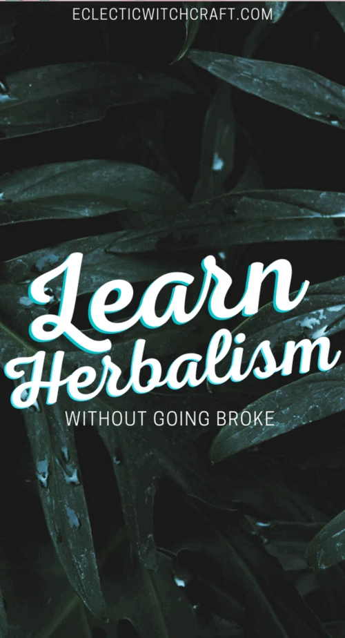 Learn herbalism without going broke: Tips to become an herbalist with affordable online options. #herbalism #witch #witchcraft #pagan #wicca