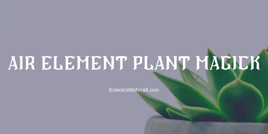 Air Element Plants: 30+ Divine Witch Herbs And Plants
