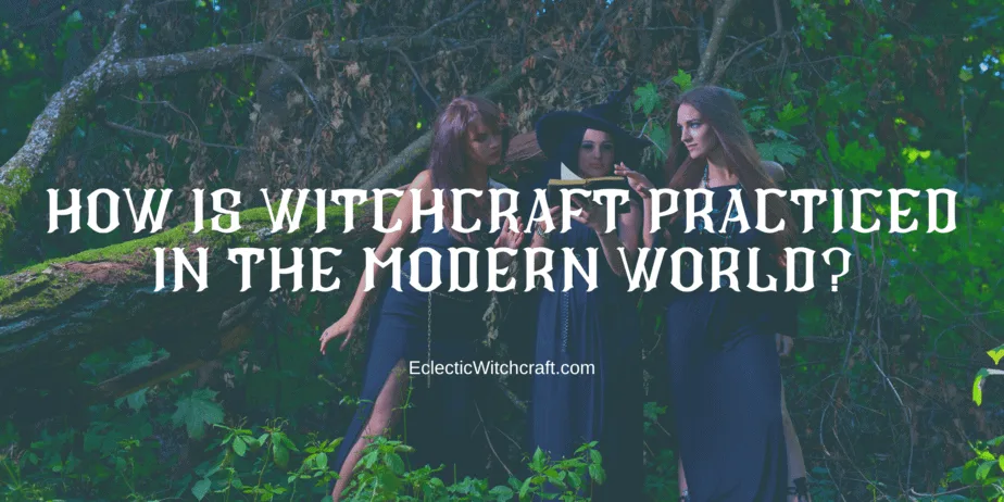 Three witches in a forest