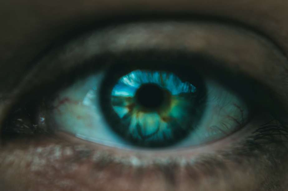 blue human eye of crop person