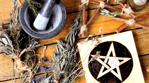 Decorative image of herbalism for witches