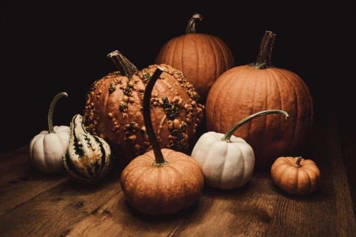 Decorative Image | Are Samhain And Halloween The Same? | It's common for people to think that Samhain and Halloween are the same holiday.