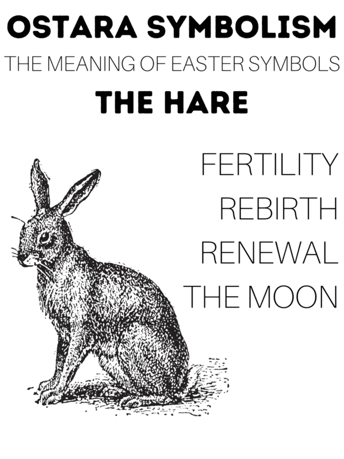 An infographic with the meaning of Ostara symbolism. This one features the hare which represents rebirth, fertility, and the moon.