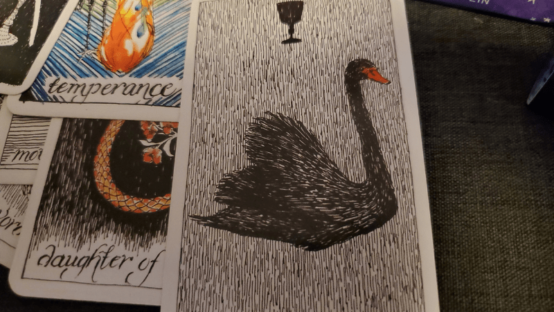 Decorative image of tarot cards with a black swan