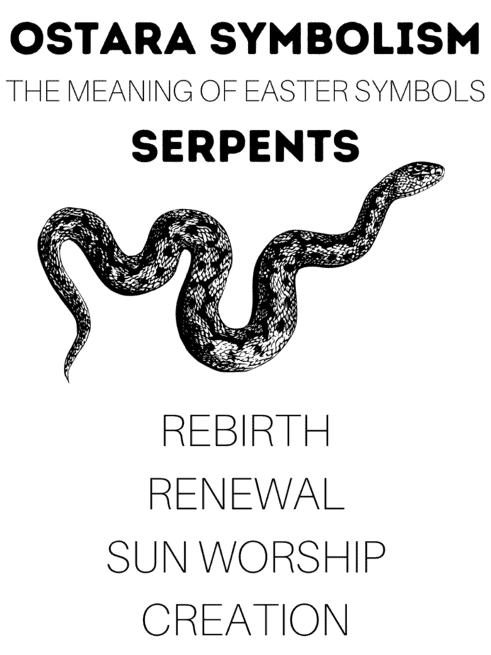 An infographic with the meaning of Ostara symbolism. This one features the snake, which represents rebirth and sun worship.