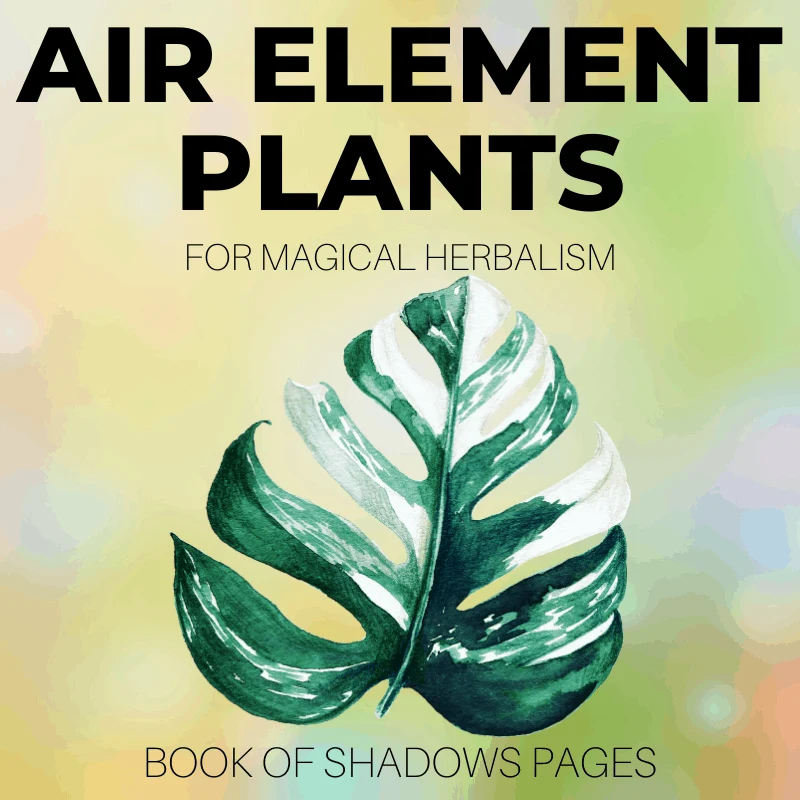 Air Element Plants: 30+ Divine Witch Herbs And Plants