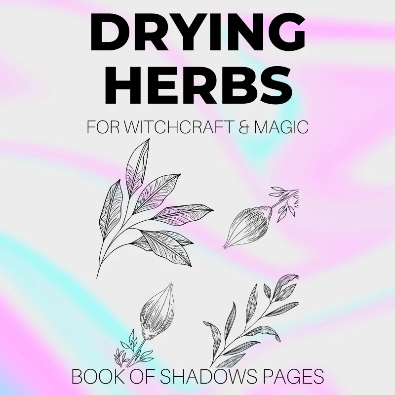 Drying Herbs For Herbal Magick: 3 Simple Magical Methods