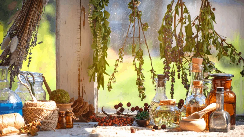 solitary Witch tools like herbs hanging by a window