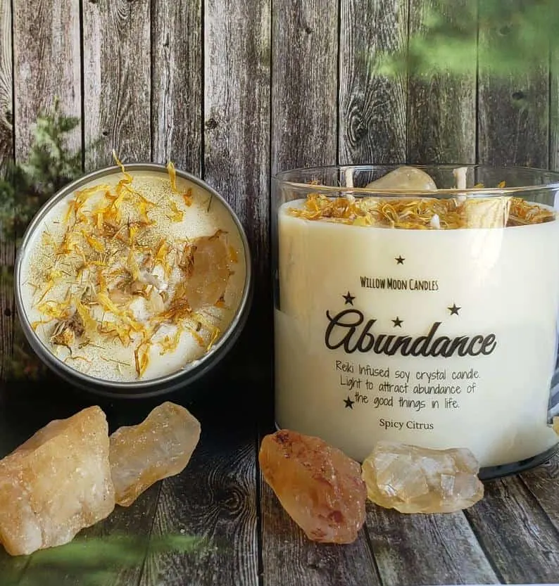 Abundance Spicy Citrus Soy Candle