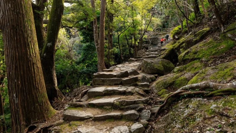 The stairs in the forest leading to a Japanese shrine. Will the miko of the shrine have a suitable Japanese witch name?