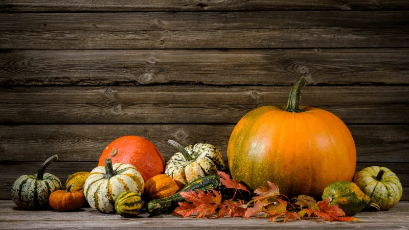 Squash, pumpkins, and gourds with leaves on a wooden table against a wooden background.