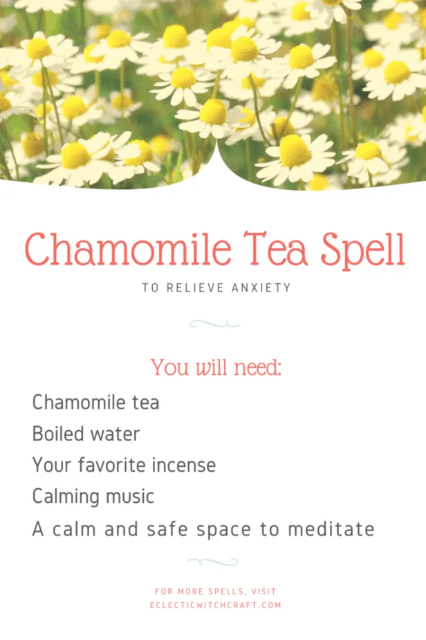Chamomile tea spell to relieve anxiety. A field of chamomile flowers.
