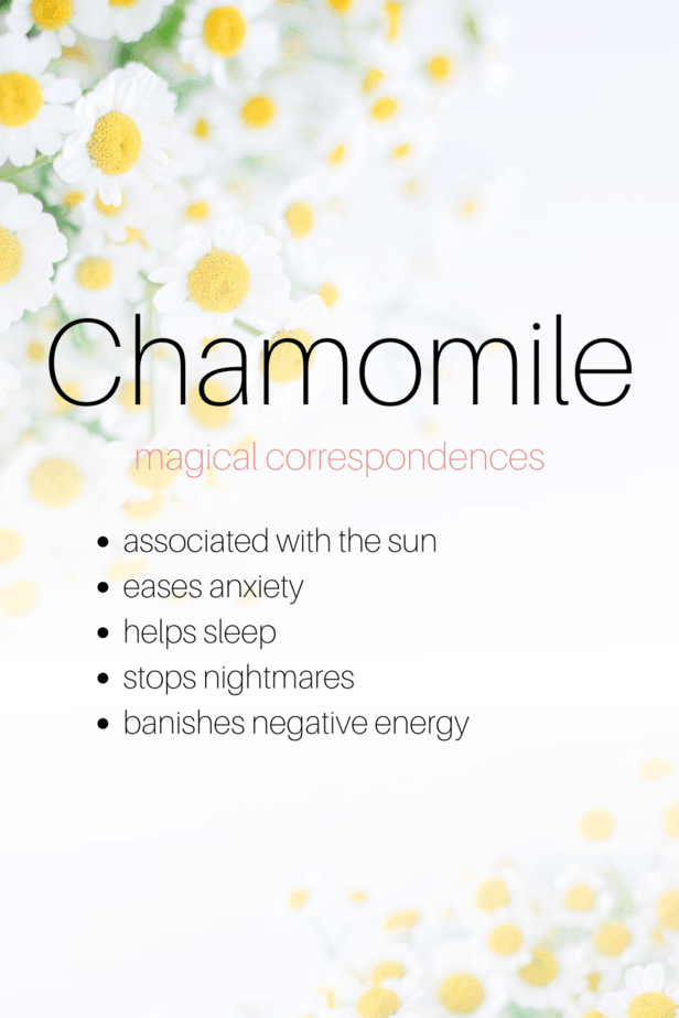 Chamomile Tea For Anxiety Eclectic Witchcraft
