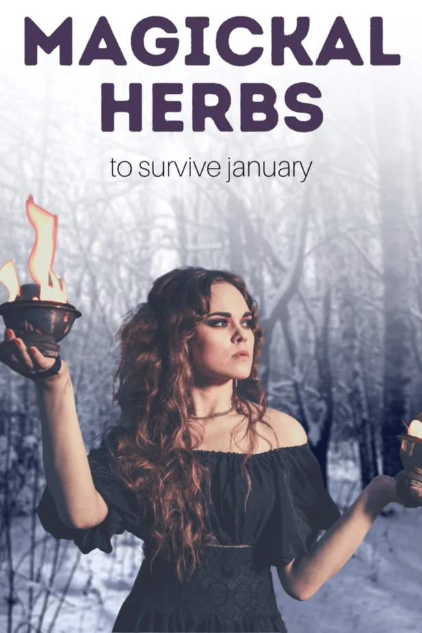 Magickal herbs to survive January. A witch holding fire and witchy tools looking out into a snowy forest.
