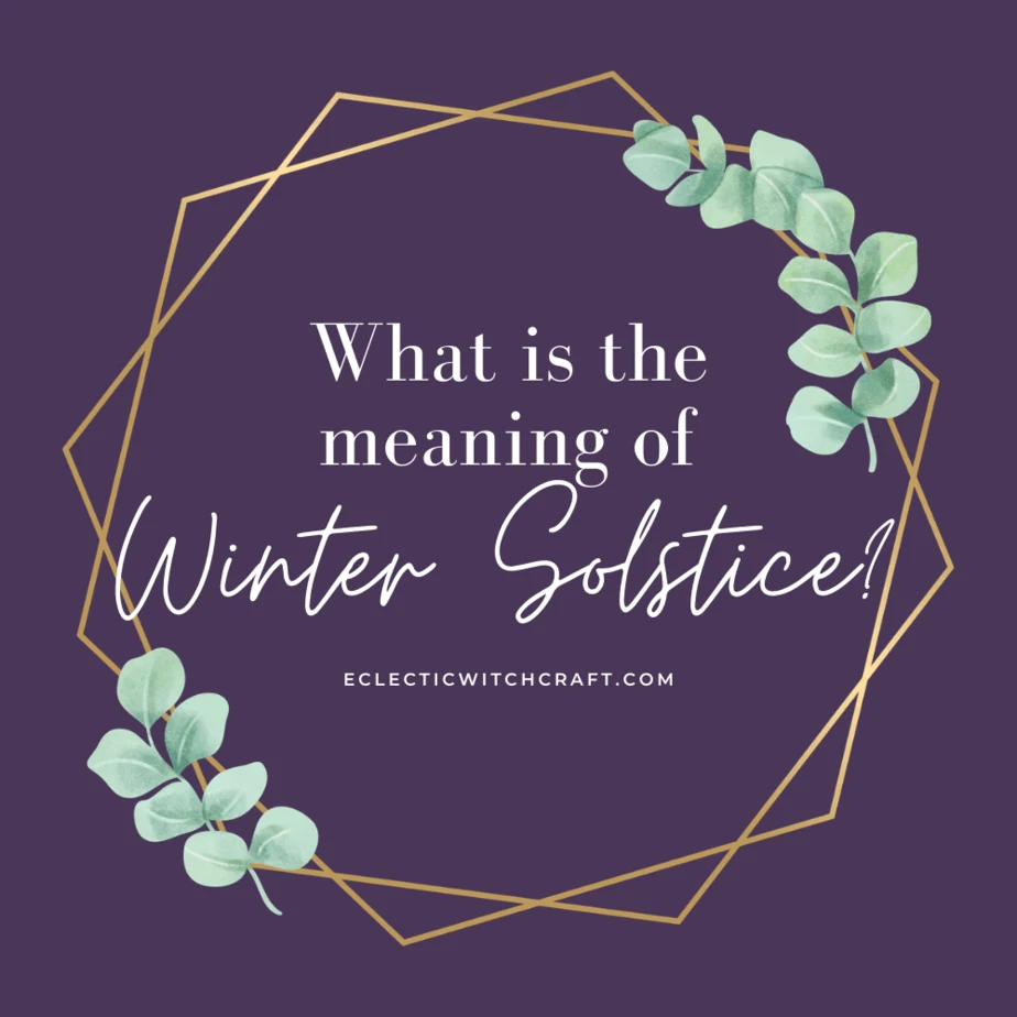 What is the meaning of winter solstice? With illustrated leaves and geometric lines in gold color on a dark purple background.