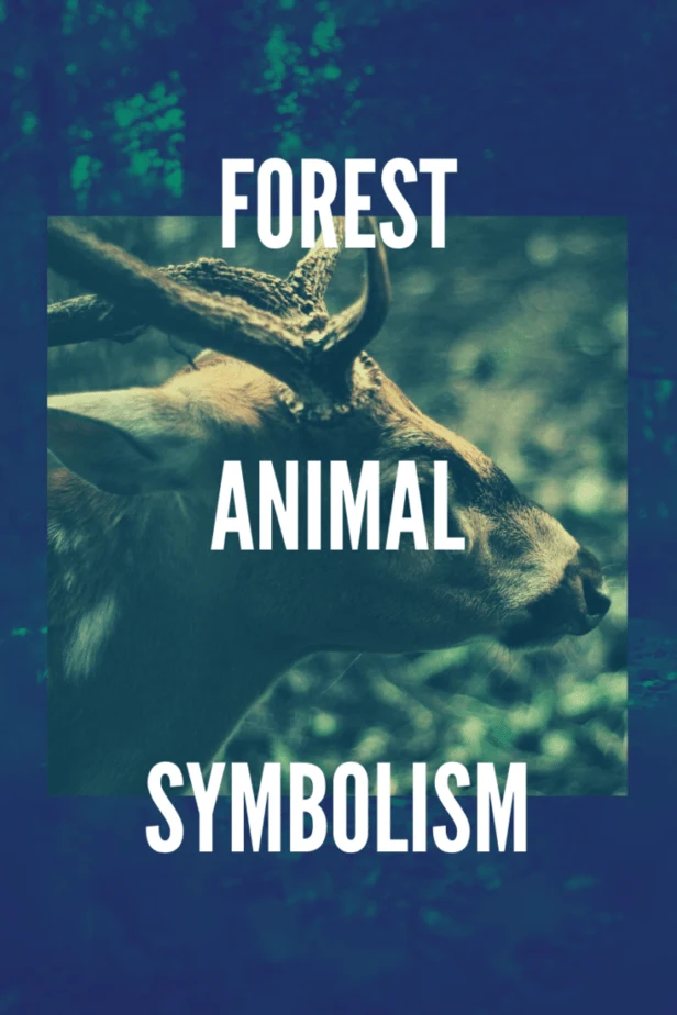 Forest animal symbolism. A deer in the forest with big antlers.