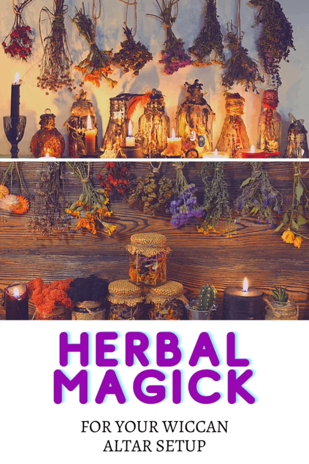 Dried herbs in bottles, jars, and hanging from the walls. Lit black candles. Fake plants. Herbal magick for your Wiccan altar setup.