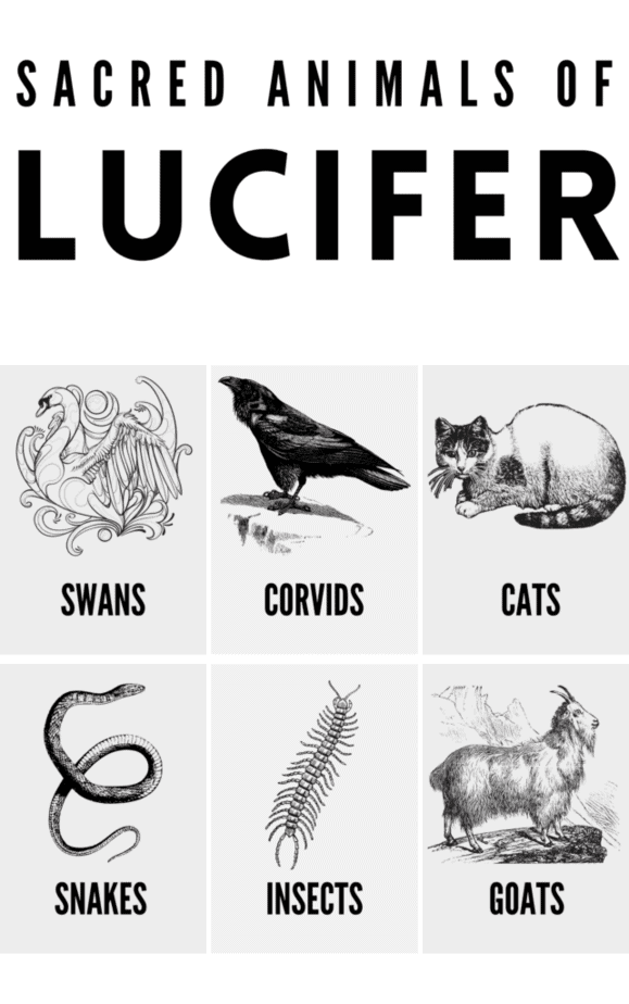 Sacred animals for your Lucifer altar.