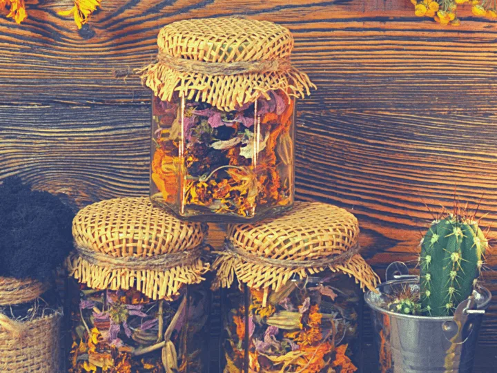 Magical spell jars filled with herbs to protect the home, family, and loved ones next to a cactus and hanging herbs on the wall.