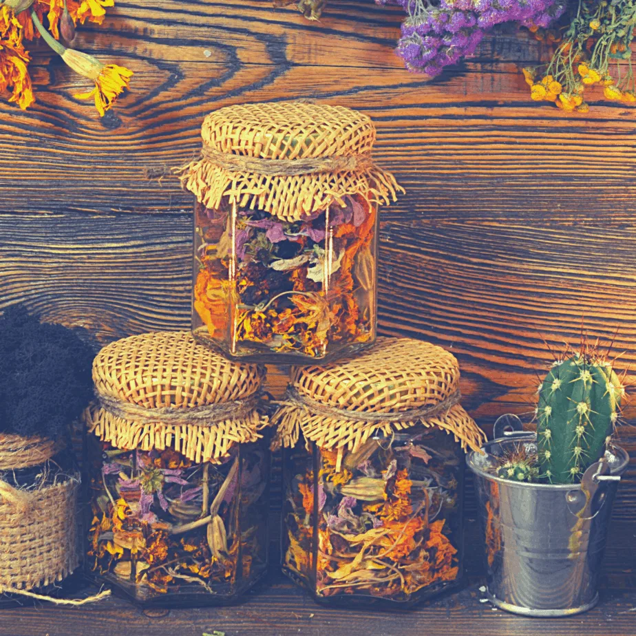 Magical spell jars filled with herbs to protect the home, family, and loved ones next to a cactus and hanging herbs on the wall.