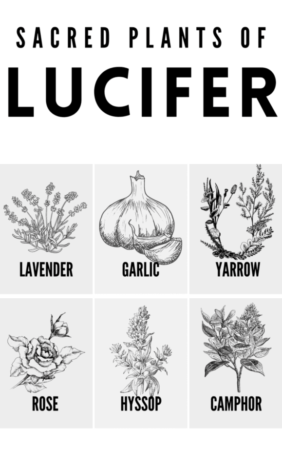 Sacred plants for your Lucifer altar.