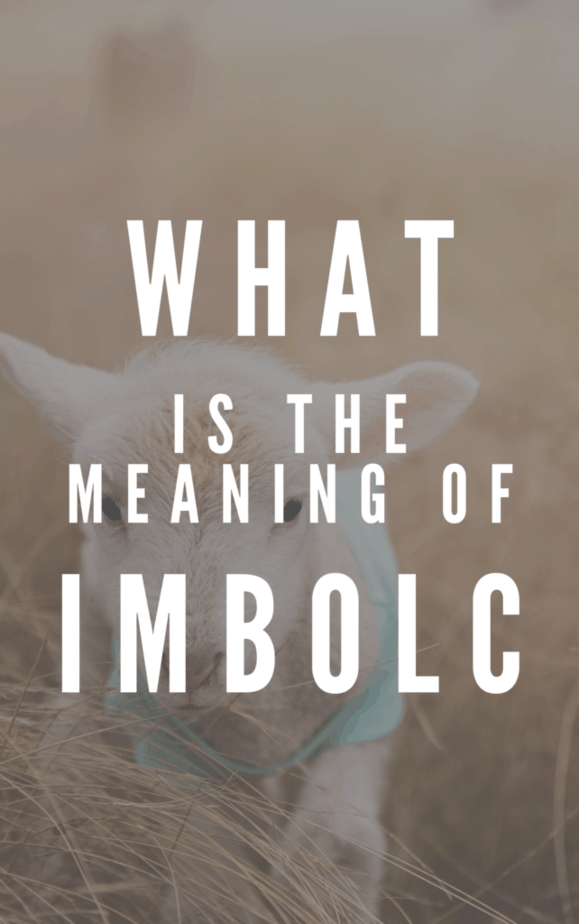 What is the meaning of Imbolc? A lamb in a field.