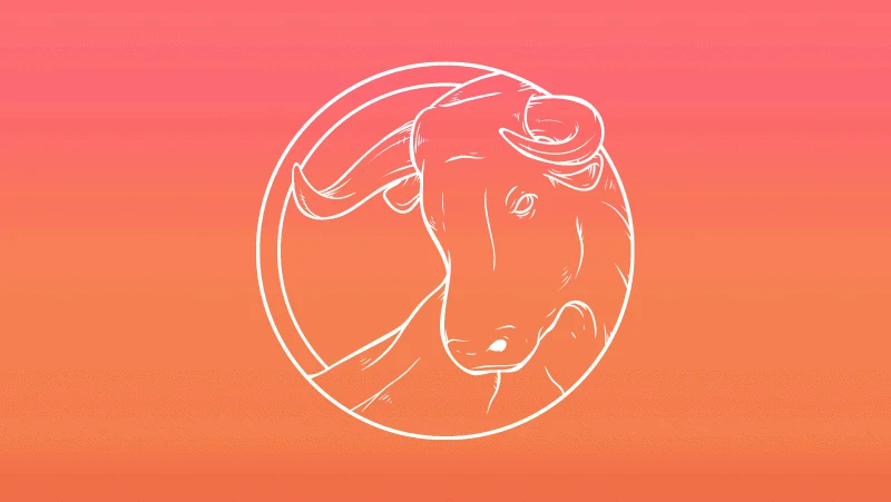 Taurus Sun bull head against a yellow orange gradient