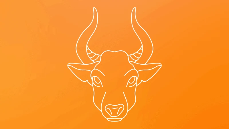 Taurus bull head against a yellow orange gradient