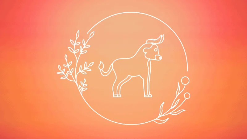 Floral circle and bull against a yellow orange gradient