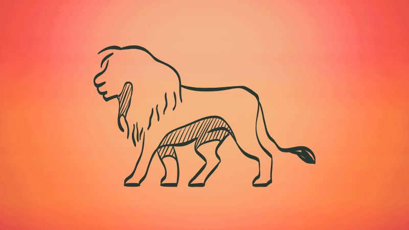 Lion on orange gradient background