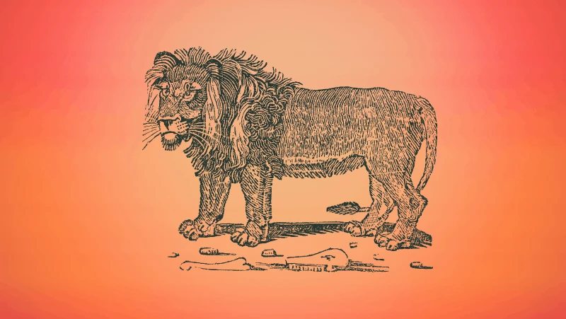 Lion on orange gradient background