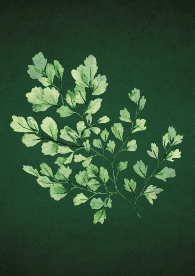 Green leaf on green gradient background greenery eco-friendly art