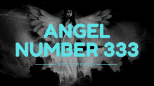 Angel Numbers Explained. What Does The 333 Angel Number Mean 300x169 