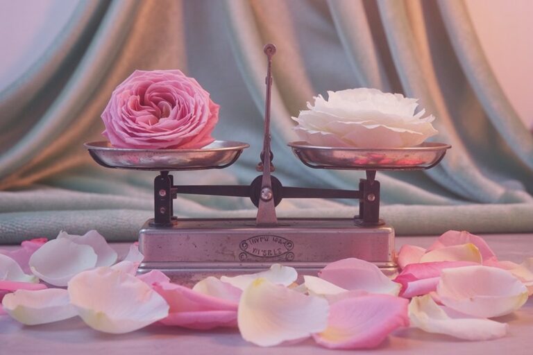 Vintage brass scales holding pink and white rose petals in perfect equilibrium embody the Venus-ruled system at the heart of the Libra woman's personality. This image captures how beauty, balance, and harmony form the organizing principle from which all her traits emerge.