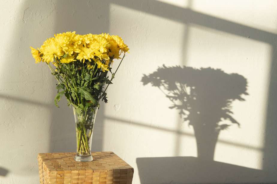 bunch of yellow flowers in sunlight