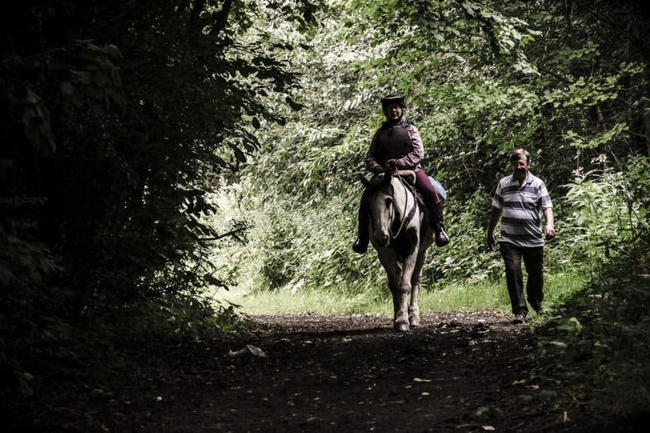 person riding on horse beside man walking on forest