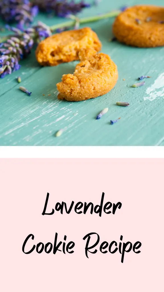 Lavender cookies for chthonic gods
