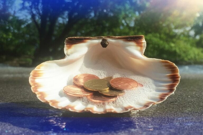 Scallop shell holding copper pennies on blue surface shows Venus correspondences for Aphrodite altar work - sea origin in shell, copper metal for planet Venus, blue for water element.