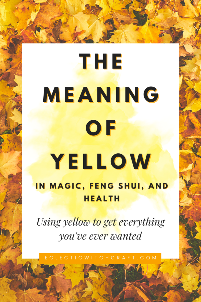 The meaning of yellow. Yellow and orange leaves.