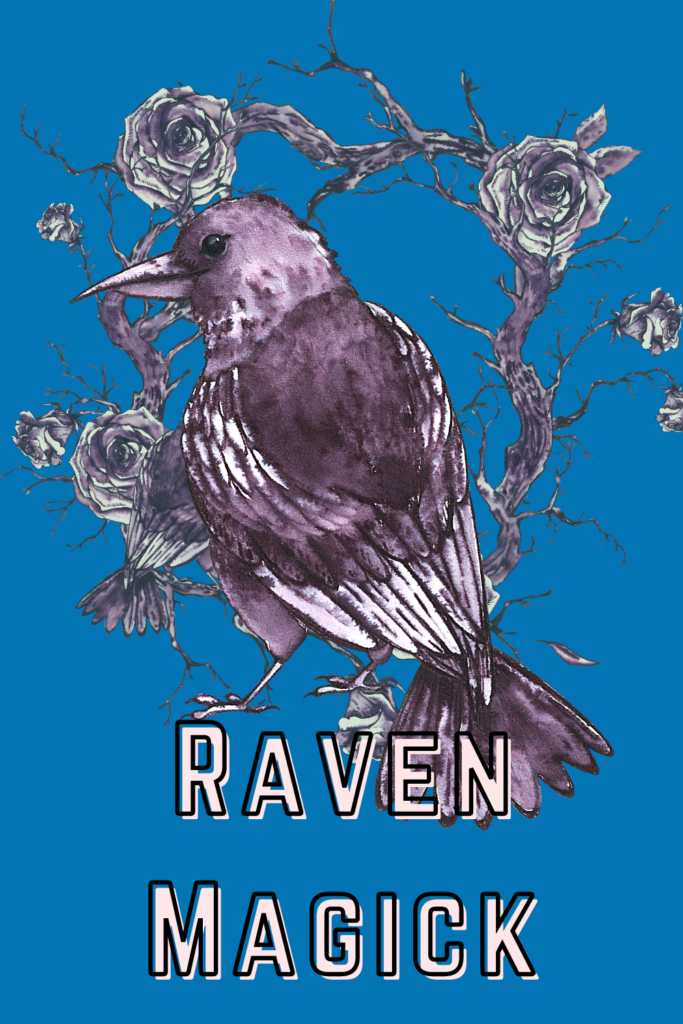 Ravens and magick, raven illustration