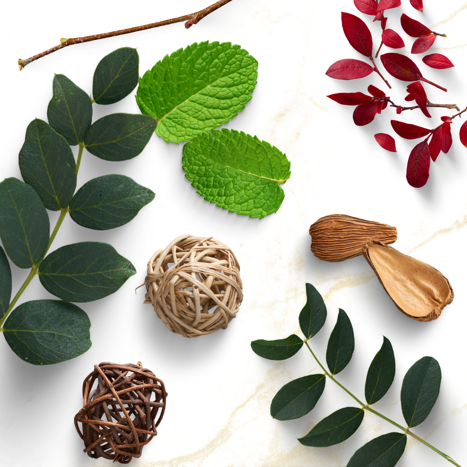 Copy of Easy Simmer Pot Recipes For Financial Abundance Using Herbal Witchcraft 1600 × 1600 px 1 Potpourri, green leaves, gold marble, simmer pot recipes