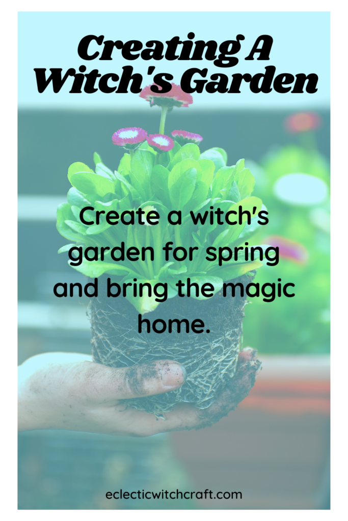 Creating A Witch's Garden. Plants in a garden.