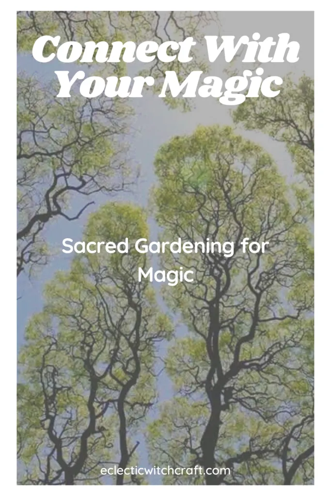 Connect With Your Magic As A Green Witch