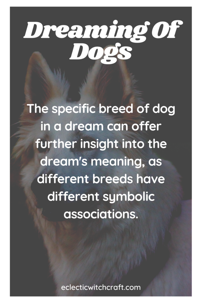 Dream meaning dog attacking you