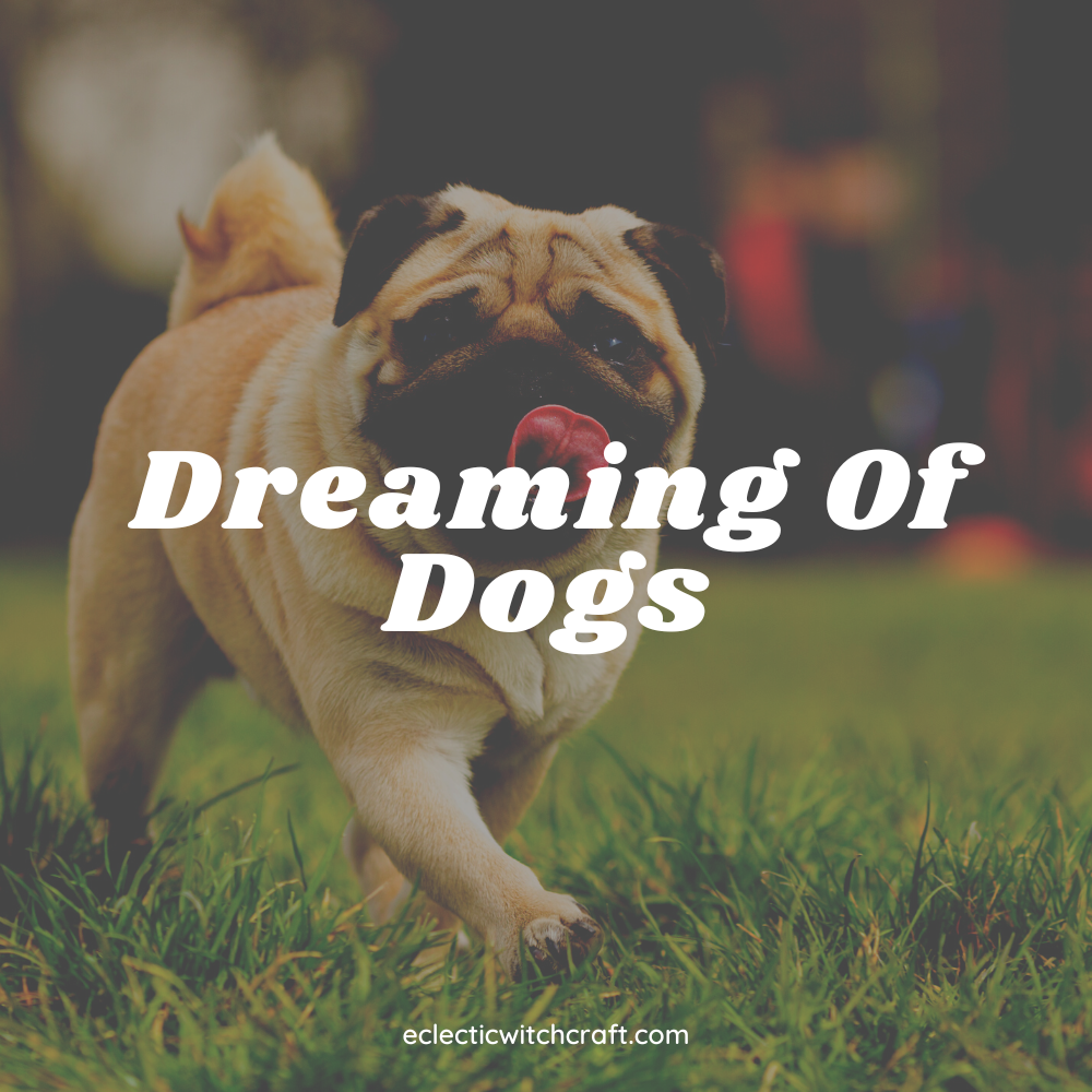 Dreaming Of Dogs