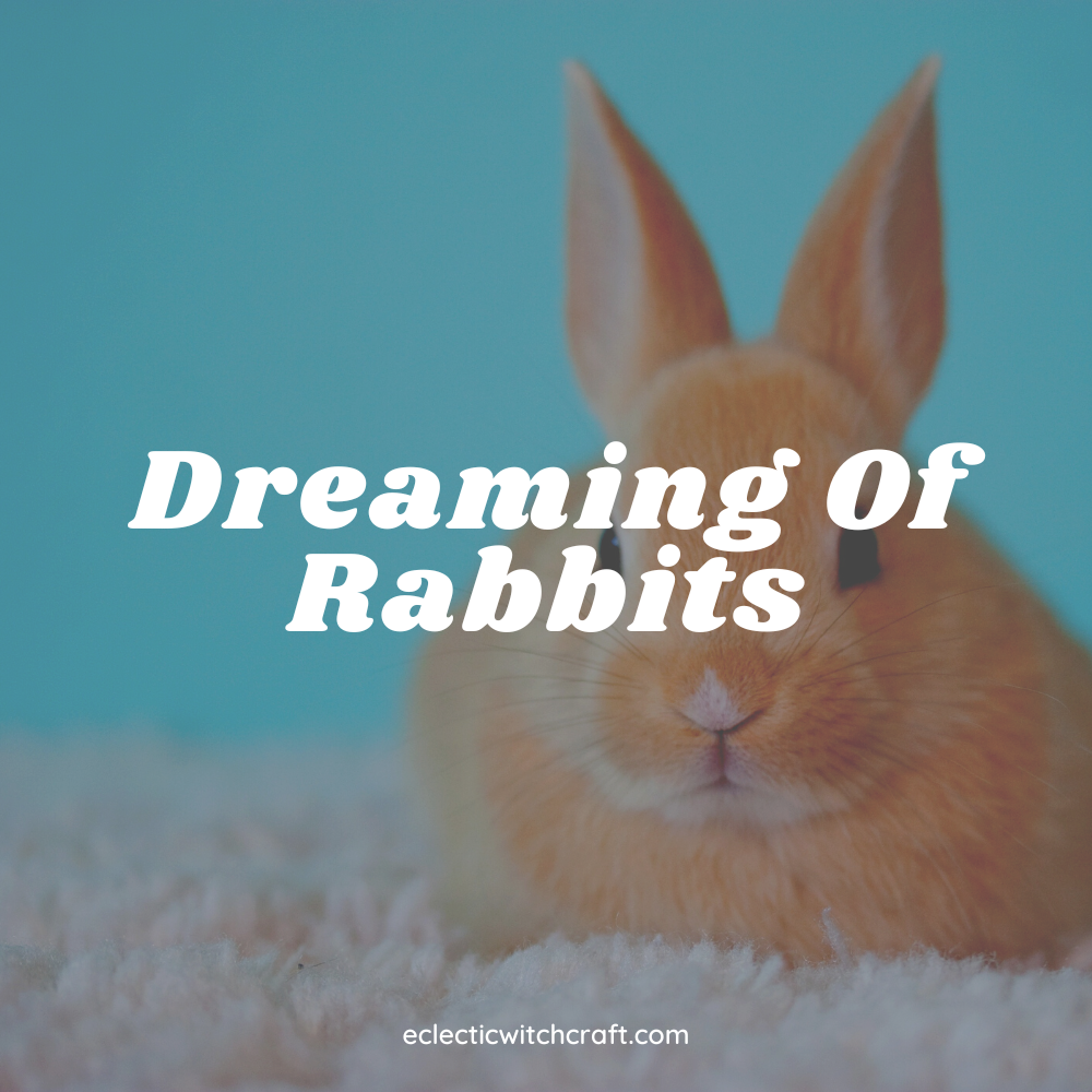 Dreaming Of Rabbits